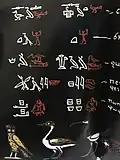 Reproduction of hieroglyphs from the Grammaire
