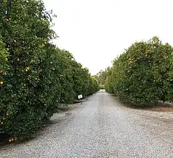 Bothwell Ranch in 2019.