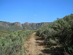 Bottem of pass looking up