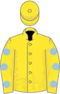 Yellow, light blue spots on sleeves