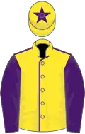 Yellow, purple seams, sleeves and star on cap
