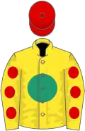 Yellow, emerald green disc, yellow sleeves, red spots, red cap