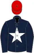 Dark blue, white star, red cap