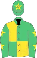 Emerald green and yellow (quartered), emerald green sleeves, yellow stars, emerald green cap, yellow star
