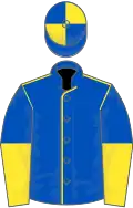 Royal Blue, Yellow seams, halved sleeves, Royal Blue and Yellow quartered cap
