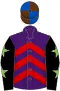 Purple, red chevrons, black sleeves, light green stars, royal blue and brown quartered cap