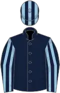 Dark blue, light blue striped sleeves, striped cap