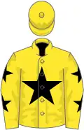Yellow, black star, yellow sleeves, black stars, yellow cap