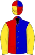 Blue and red (halved), yellow sleeves, red, yellow and blue quartered cap