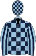 Light blue and dark blue check, striped sleeves