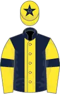 Dark Blue, Yellow stripe, Yellow sleeves, Dark Blue armlets and star on Yellow cap