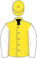 Yellow, white sleeves