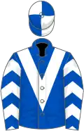 Royal blue, white chevron, white and royal blue chevrons on sleeves, quartered cap