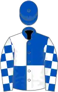 Royal blue and white (quartered), checked sleeves, royal blue cap