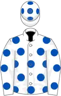 White, royal blue spots
