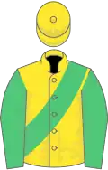 Yellow, emerald green sash and sleeves