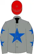 Grey, royal blue star, grey sleeves, royal blue stars, red cap