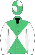 Emerald green and white diabolo, white sleeves, quartered cap