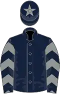 Dark Blue, Grey chevrons on sleeves, Dark Blue cap, Grey star