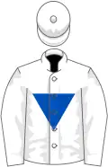 White, royal blue inverted triangle