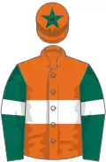 Orange, white hoop, dark green sleeves, white armlets, orange cap, dark green star