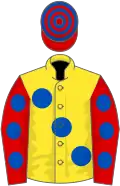 Yellow, large royal blue spots, red sleeves, royal blue spots, red and royal blue hooped cap