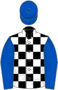 Black and white checked, royal blue sleeves and cap