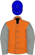 Orange, grey sleeves, blue cap