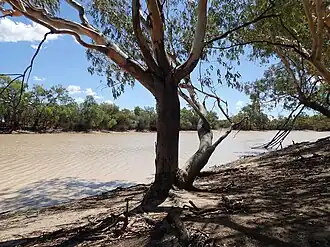King Charlie Waterhole