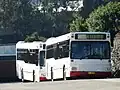 Scania L113CRL Austral Pacific MO 7538 in PBC white livery