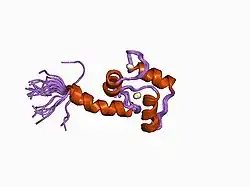 1ak8: NMR SOLUTION STRUCTURE OF CERIUM-LOADED CALMODULIN AMINO-TERMINAL DOMAIN (CE2-TR1C), 23 STRUCTURES