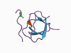 1b07: CRK SH3 DOMAIN COMPLEXED WITH PEPTOID INHIBITOR