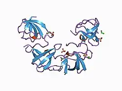 1bbz: CRYSTAL STRUCTURE OF THE ABL-SH3 DOMAIN COMPLEXED WITH A DESIGNED HIGH-AFFINITY PEPTIDE LIGAND: IMPLICATIONS FOR SH3-LIGAND INTERACTIONS