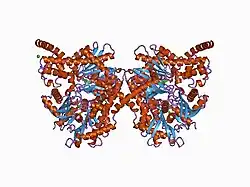 1bg3: RAT BRAIN HEXOKINASE TYPE I COMPLEX WITH GLUCOSE AND INHIBITOR GLUCOSE-6-PHOSPHATE