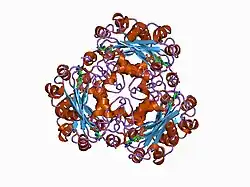 1bhn: NUCLEOSIDE DIPHOSPHATE KINASE ISOFORM A FROM BOVINE RETINA