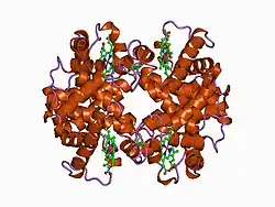 1buw: CRYSTAL STRUCTURE OF S-NITROSO-NITROSYL HUMAN HEMOGLOBIN A