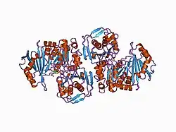 1c47: BINDING DRIVEN STRUCTURAL CHANGES IN CRYSTALLINE PHOSPHOGLUCOMUTASE ASSOCIATED WITH CHEMICAL REACTION