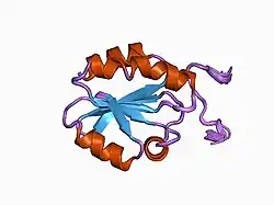 1cqg: HIGH RESOLUTION SOLUTION NMR STRUCTURE OF MIXED DISULFIDE INTERMEDIATE BETWEEN HUMAN THIOREDOXIN (C35A, C62A, C69A, C73A) MUTANT AND A 13 RESIDUE PEPTIDE COMPRISING ITS TARGET SITE IN HUMAN REF-1 (RESIDUES 59-71 OF THE P50 SUBUNIT OF NFKB), NMR, 31 STRUCTURES