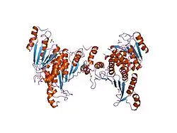 1dch: CRYSTAL STRUCTURE OF DCOH, A BIFUNCTIONAL, PROTEIN-BINDING TRANSCRIPTION COACTIVATOR