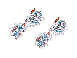 1ddj: CRYSTAL STRUCTURE OF HUMAN PLASMINOGEN CATALYTIC DOMAIN