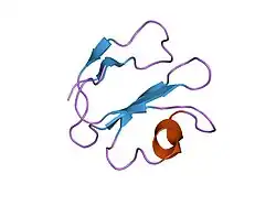 1erg: THREE-DIMENSIONAL SOLUTION STRUCTURE OF THE EXTRACELLULAR REGION OF THE COMPLEMENT REGULATORY PROTEIN, CD59, A NEW CELL SURFACE PROTEIN DOMAIN RELATED TO NEUROTOXINS
