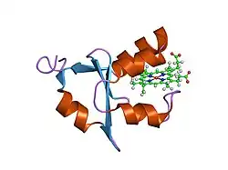 1f03: SOLUTION STRUCTURE OF OXIDIZED BOVINE MICROSOMAL CYTOCHROME B5 MUTANT (E44A, E48A, E56A, D60A) AND ITS INTERACTION WITH CYTOCHROME C
