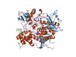 1f8u: CRYSTAL STRUCTURE OF MUTANT E202Q OF HUMAN ACETYLCHOLINESTERASE COMPLEXED WITH GREEN MAMBA VENOM PEPTIDE FASCICULIN-II