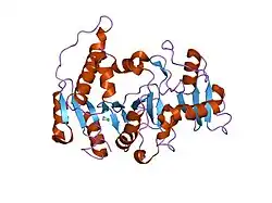 1fo8: CRYSTAL STRUCTURE OF N-ACETYLGLUCOSAMINYLTRANSFERASE I