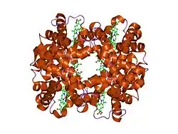 1g9v: HIGH RESOLUTION CRYSTAL STRUCTURE OF DEOXY HEMOGLOBIN COMPLEXED WITH A POTENT ALLOSTERIC EFFECTOR