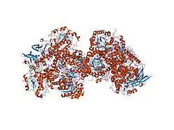 1gte: DIHYDROPYRIMIDINE DEHYDROGENASE (DPD) FROM PIG, BINARY COMPLEX WITH 5-IODOURACIL
