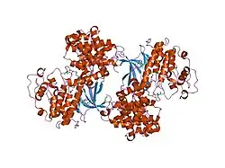 1gy3: PCDK2/CYCLIN A IN COMPLEX WITH MGADP, NITRATE AND PEPTIDE SUBSTRATE