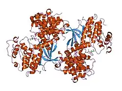 1h25: CDK2/CYCLIN A IN COMPLEX WITH AN 11-RESIDUE RECRUITMENT PEPTIDE FROM RETINOBLASTOMA-ASSOCIATED PROTEIN