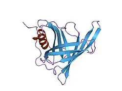 1hbq: CRYSTAL STRUCTURE OF LIGANDED AND UNLIGANDED FORMS OF BOVINE PLASMA RETINOL-BINDING PROTEIN