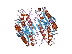 1i4o: CRYSTAL STRUCTURE OF THE XIAP/CASPASE-7 COMPLEX